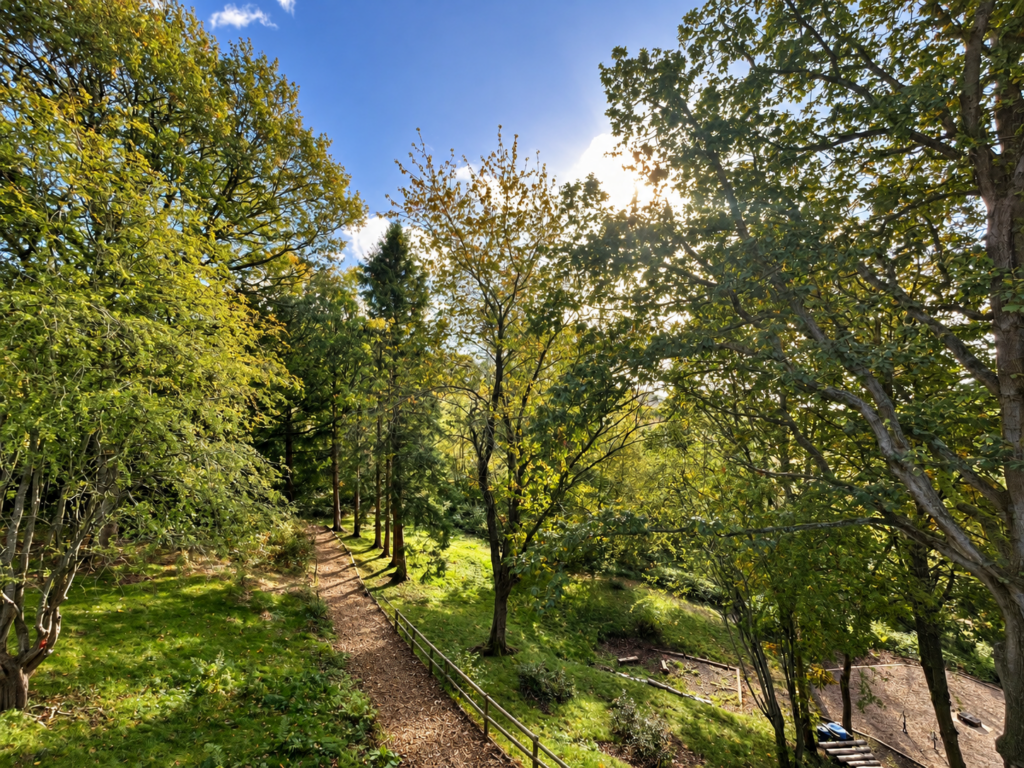 The beautiful woodland paths at Boundless Outdoors, Malvern.